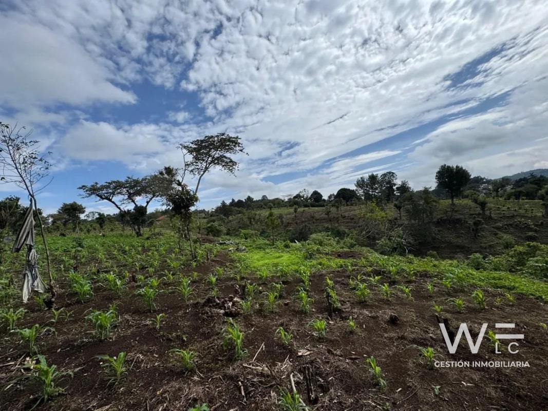 VENDO TERRENO 17 MANZANAS FRAIJANES — Terreno en Venta en Fraijanes, Carretera a El Salvador, Guatemala, Ciudad — foto 4 de 10