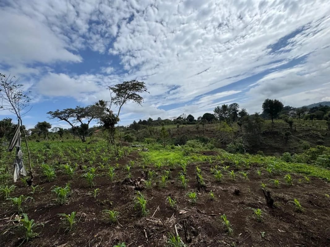 Vendo Terreno 17 Manzanas Fraijanes — Terreno en Venta en Fraijanes, Carretera a El Salvador, Guatemala, Ciudad — foto 4 de 10