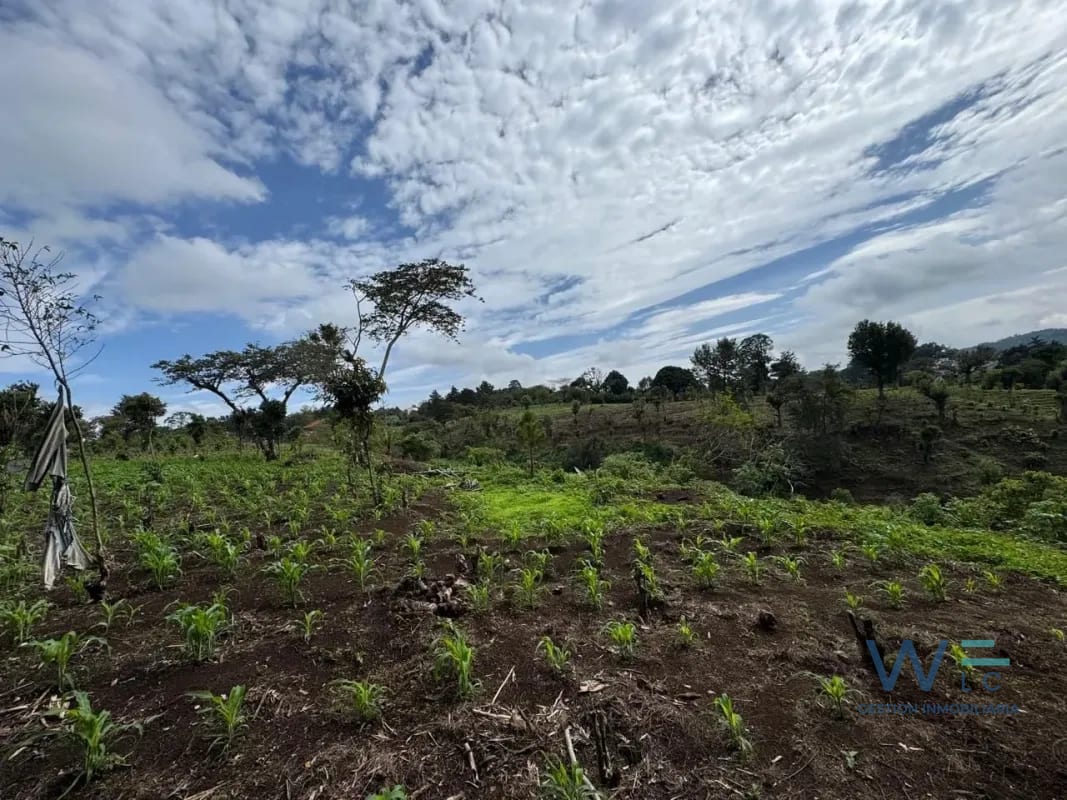 Vendo Terreno 17 Manzanas Fraijanes — Terreno en Venta en Fraijanes, Carretera a El Salvador, Guatemala, Ciudad — foto 4 de 10