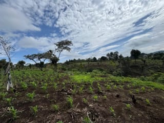Vendo Terreno 17 Manzanas Fraijanes — Terreno en Venta en Fraijanes, Carretera a El Salvador, Guatemala, Ciudad — miniatura 4 de 10