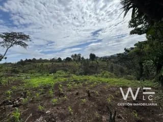 VENDO TERRENO 17 MANZANAS FRAIJANES — Terreno en Venta en Fraijanes, Carretera a El Salvador, Guatemala, Ciudad — miniatura 3 de 10
