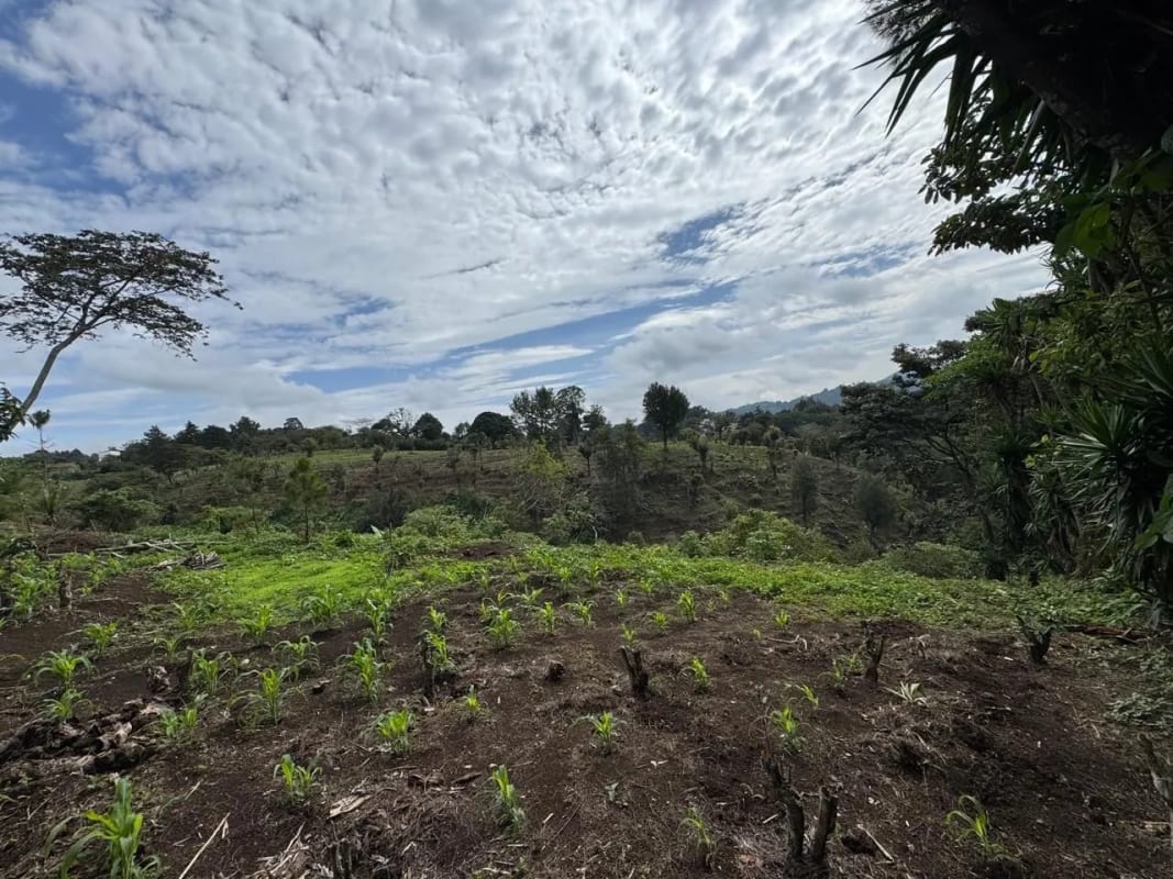 Vendo Terreno 17 Manzanas Fraijanes — Terreno en Venta en Fraijanes, Carretera a El Salvador, Guatemala, Ciudad — foto 3 de 10