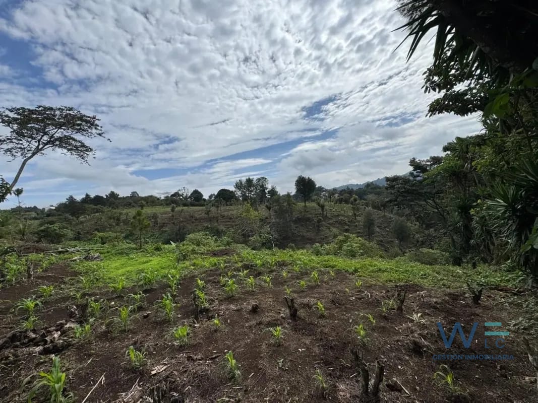 Vendo Terreno 17 Manzanas Fraijanes — Terreno en Venta en Fraijanes, Carretera a El Salvador, Guatemala, Ciudad — foto 3 de 10