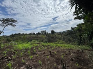 Vendo Terreno 17 Manzanas Fraijanes — Terreno en Venta en Fraijanes, Carretera a El Salvador, Guatemala, Ciudad — miniatura 3 de 10
