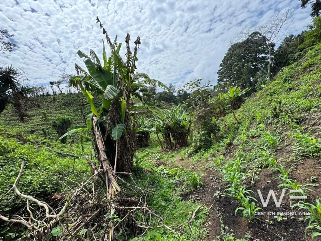 VENDO TERRENO 17 MANZANAS FRAIJANES — Terreno en Venta en Fraijanes, Carretera a El Salvador, Guatemala, Ciudad — foto 2 de 10