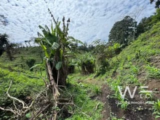 VENDO TERRENO 17 MANZANAS FRAIJANES — Terreno en Venta en Fraijanes, Carretera a El Salvador, Guatemala, Ciudad — miniatura 2 de 10