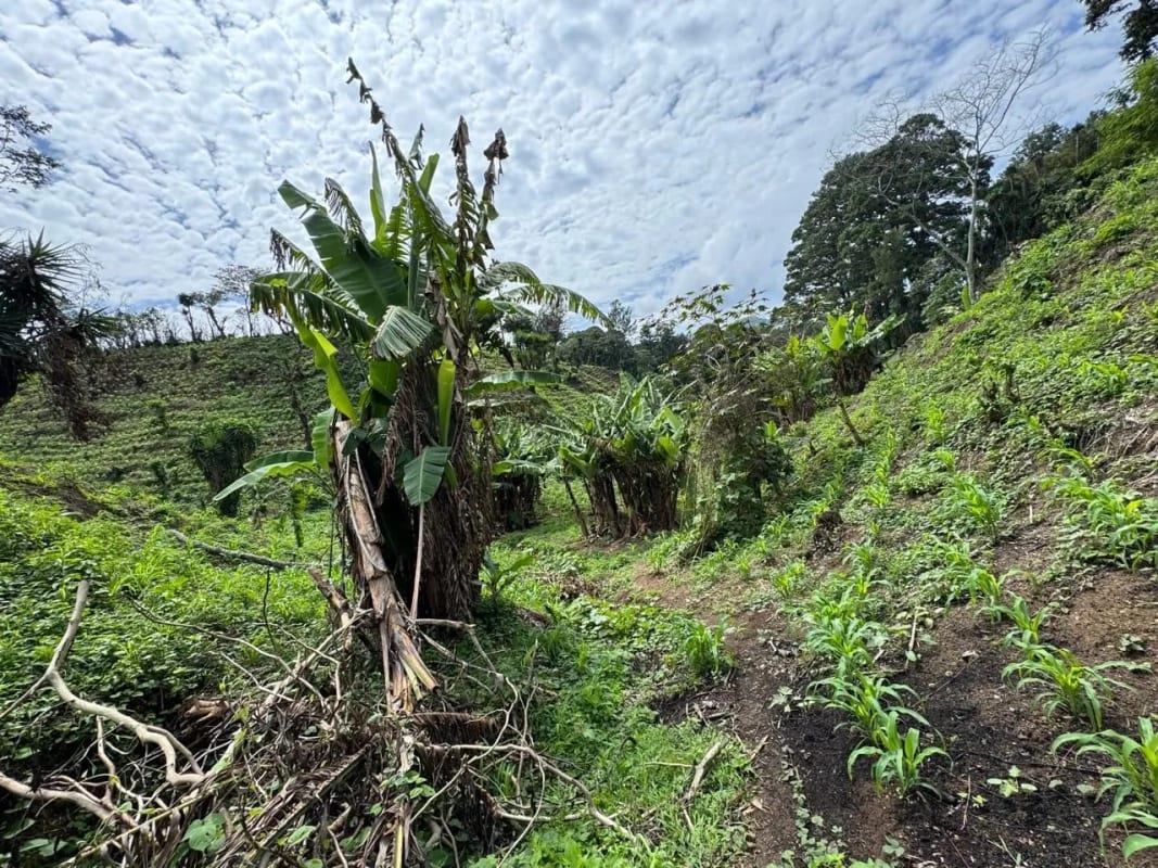 Vendo Terreno 17 Manzanas Fraijanes — Terreno en Venta en Fraijanes, Carretera a El Salvador, Guatemala, Ciudad — foto 2 de 10