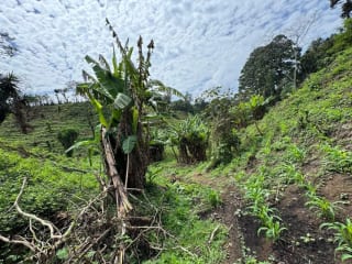 Vendo Terreno 17 Manzanas Fraijanes — Terreno en Venta en Fraijanes, Carretera a El Salvador, Guatemala, Ciudad — miniatura 2 de 10