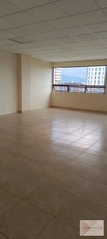 AMPLIAS OFICINAS EN RENTA — Oficina en Alquiler en Zona 13, Guatemala, Ciudad — foto 6 de 6