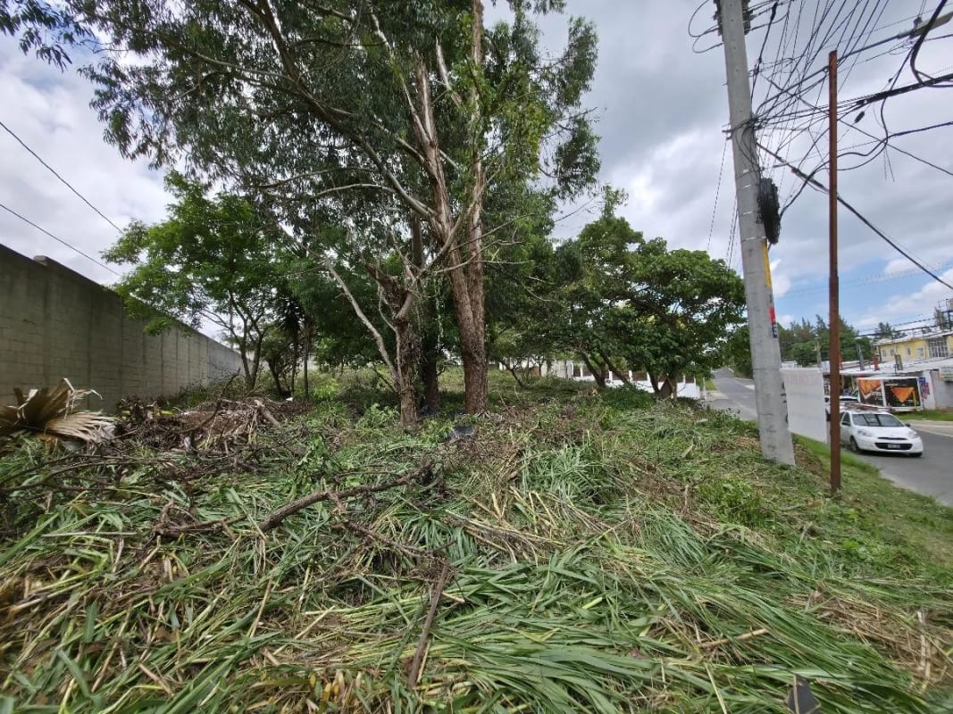 Terreno en renta en San Cristóbal Sector A10 — Terreno en Alquiler en Zona 8 Mixco, Guatemala, Ciudad — foto 5 de 9