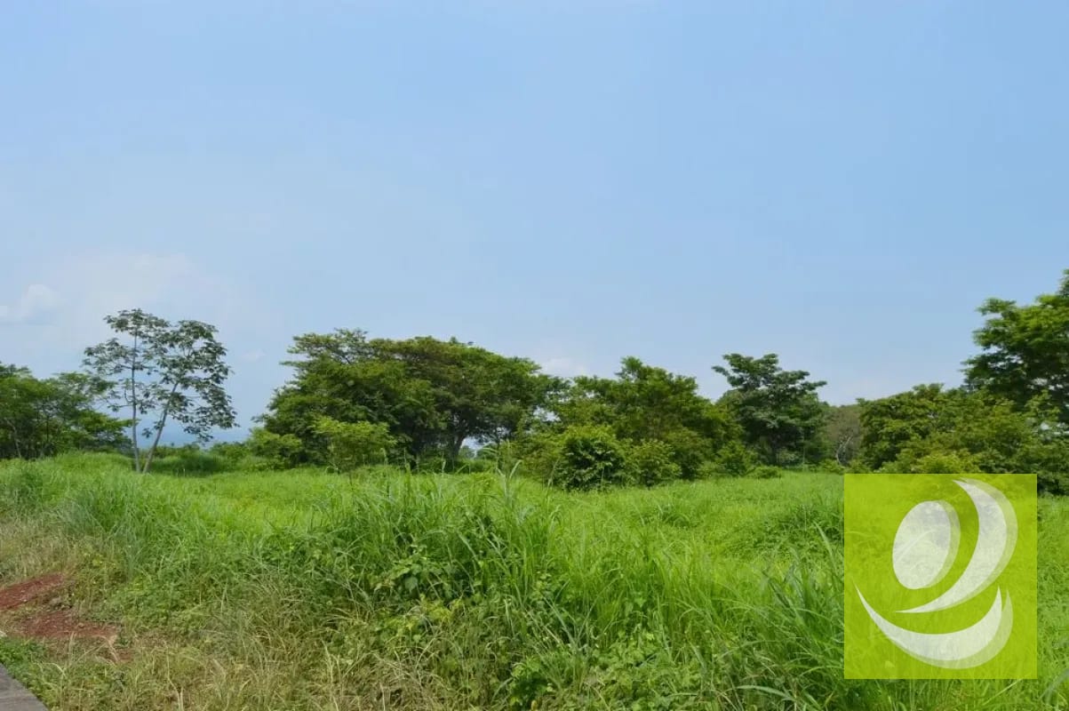 Terreno Industrial en Venta Escuintla — Terreno en Venta en Escuintla, Escuintla — foto 4 de 4