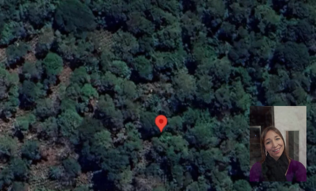 Finca — Finca en Venta en Moyuta, Jutiapa — foto 2 de 14