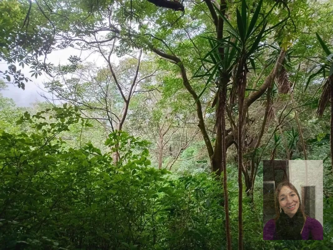 Finca — Finca en Venta en Moyuta, Jutiapa — foto 3 de 14