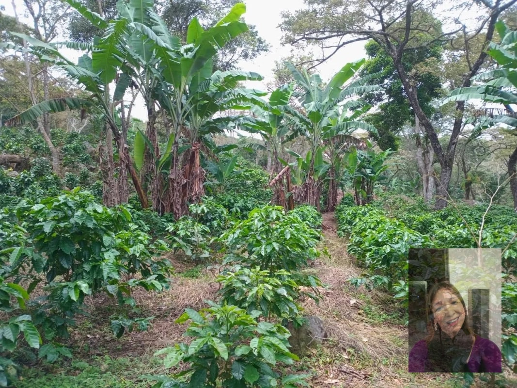 Finca — Finca en Venta en Moyuta, Jutiapa — foto 4 de 14