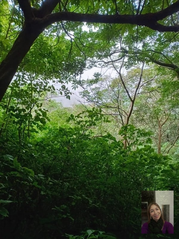 Finca — Finca en Venta en Moyuta, Jutiapa — foto 5 de 14