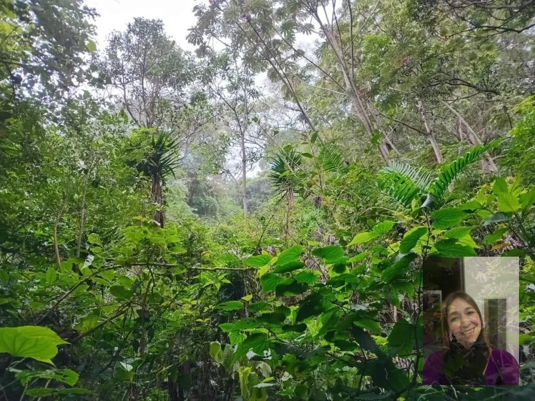 Finca — Finca en Venta en Moyuta, Jutiapa — foto 6 de 14