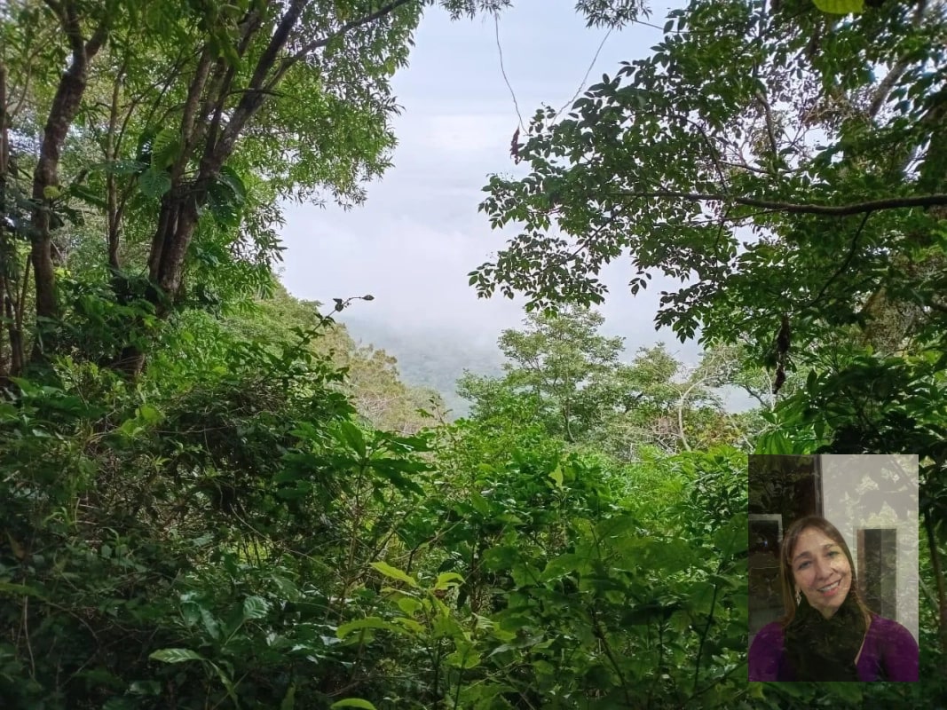 Finca — Finca en Venta en Moyuta, Jutiapa — foto 7 de 14