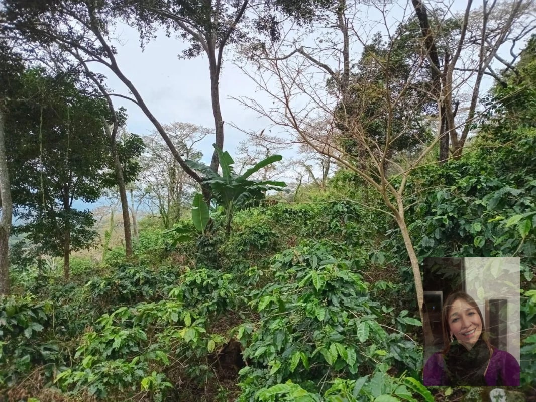Finca — Finca en Venta en Moyuta, Jutiapa — foto 8 de 14