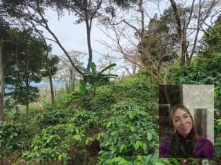 Finca — Finca en Venta en Moyuta, Jutiapa — miniatura 8 de 14