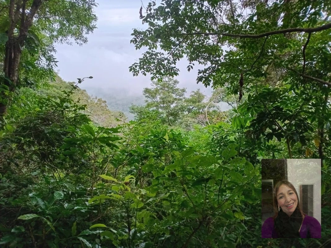 Finca — Finca en Venta en Moyuta, Jutiapa — foto 10 de 14