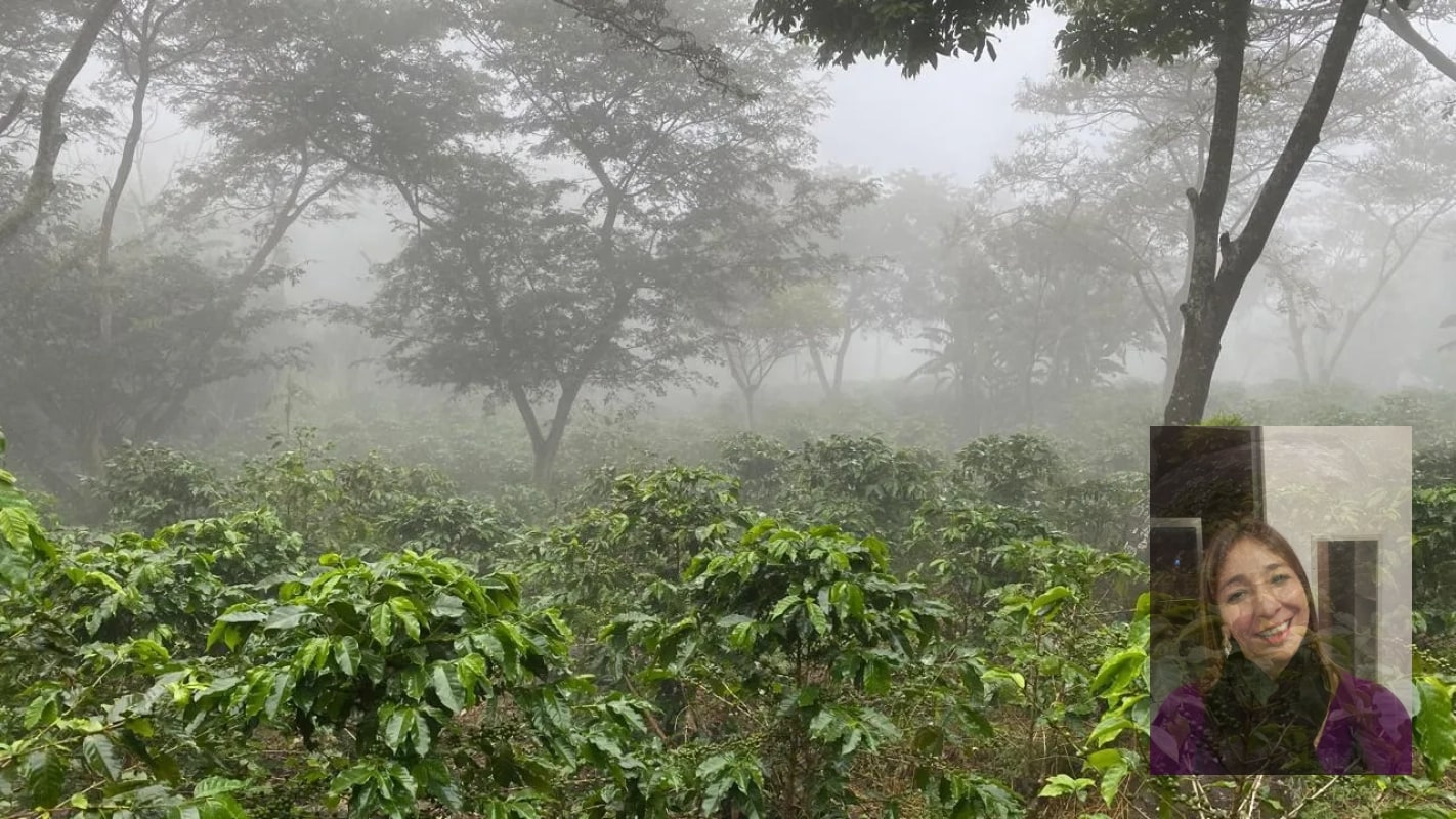 Finca — Finca en Venta en Moyuta, Jutiapa — foto 12 de 14