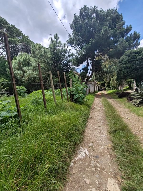 TERRENO EN VENTA SANTA AMELIA SANTIAGO SACATEPÉQUEZ — Terreno en Venta en Santa Amelia, San Lucas Sacatepéquez, Sacatepéquez — foto 4 de 9