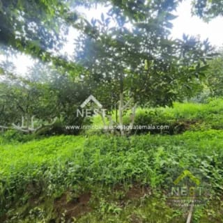 Terreno de 1.5 manzanas en VENTA | Las Lomas, Santo Tomas Milpas Altas — Terreno en Venta en Santo Tomás Milpas Altas, Sacatepéquez — miniatura 4 de 15