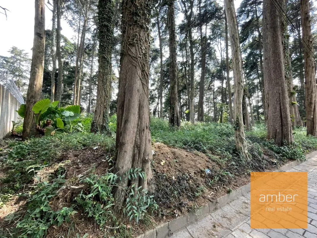 Terreno Km 13.1 CES, Finca el Socorro — Terreno en Venta en Carretera a El Salvador, Guatemala, Ciudad — foto 4 de 7