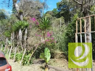 Vendo Finca en San Pedro Sacatepequez — Finca en Venta en San Pedro Sacatepéquez, Sacatepéquez — miniatura 1 de 3