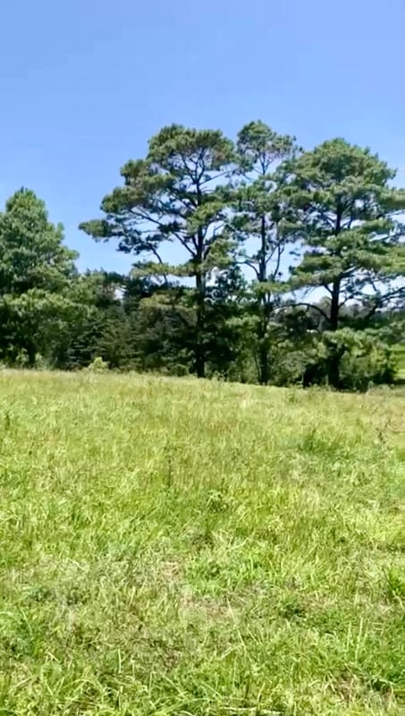 VENDO HERMOSO TERRENO EN CARRETERA A MATAQUESCUINTLA, SAN JOSÉ PINULA — Terreno en Venta en San José Pinula, Guatemala, Ciudad — foto 1 de 8