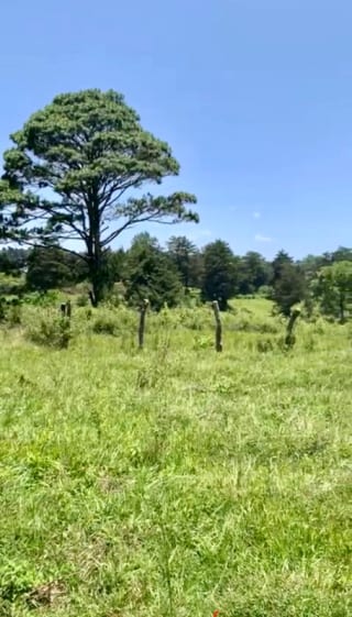 VENDO HERMOSO TERRENO EN CARRETERA A MATAQUESCUINTLA, SAN JOSÉ PINULA — Terreno en Venta en San José Pinula, Guatemala, Ciudad — miniatura 8 de 8