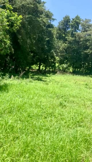 VENDO HERMOSO TERRENO EN CARRETERA A MATAQUESCUINTLA, SAN JOSÉ PINULA — Terreno en Venta en San José Pinula, Guatemala, Ciudad — miniatura 6 de 8