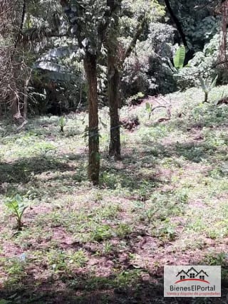 Terrenos en Residencial Buenos Aires Km. 23 CAES — Terreno en Venta en Carretera a El Salvador, Guatemala, Ciudad — miniatura 6 de 7