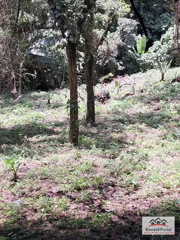 Terrenos en Residencial Buenos Aires Km. 23 CAES — Terreno en Venta en Carretera a El Salvador, Guatemala, Ciudad — foto 6 de 7