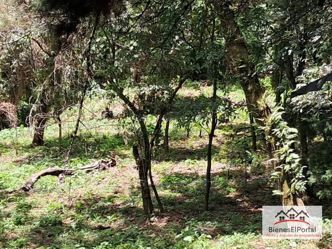 Terrenos en Residencial Buenos Aires Km. 23 CAES — Terreno en Venta en Carretera a El Salvador, Guatemala, Ciudad — foto 4 de 7