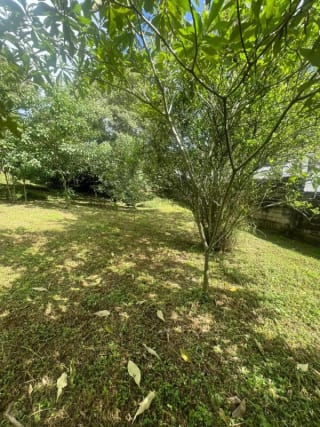 VENDO TERRENO EN CARRETERA A EL SALVADOR — Terreno en Venta en Fraijanes, Carretera a El Salvador, Guatemala, Ciudad — miniatura 8 de 9