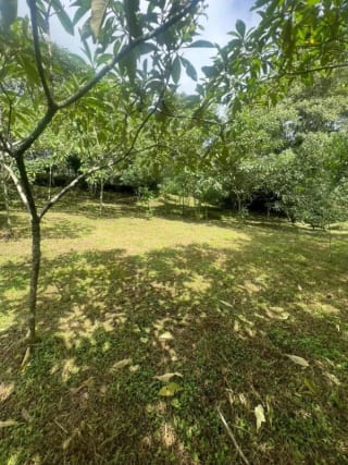 VENDO TERRENO EN CARRETERA A EL SALVADOR — Terreno en Venta en Fraijanes, Carretera a El Salvador, Guatemala, Ciudad — miniatura 5 de 9
