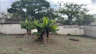 Finca Santa Delfina en venta, Antigua Guatemala — Finca en Venta en Antigua, Sacatepéquez — miniatura 9 de 10