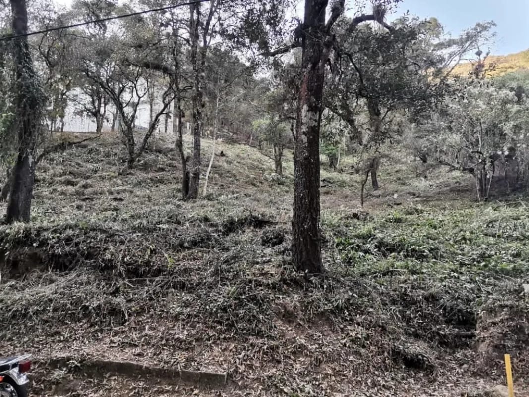 Terreno en Venta - Tronco 8 El Encinal,  zona 7 Mixco — Terreno en Venta en El Encinal, Zona 7 Mixco, Guatemala, Ciudad — foto 4 de 4