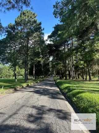 Precioso terreno plano Country Club Guatemala zona 11 — Terreno en Venta en Zona 11, Guatemala, Ciudad — miniatura 6 de 8