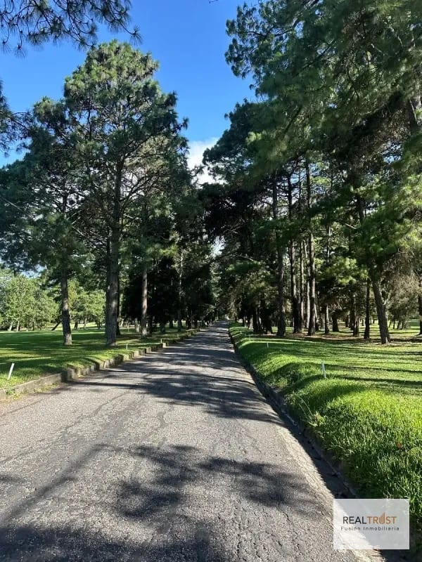 Precioso terreno plano Country Club Guatemala zona 11 — Terreno en Venta en Zona 11, Guatemala, Ciudad — foto 6 de 8