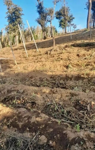 TERRENO en venta, Santa Marta, Sumpango — Terreno en Venta en Sumpango, Sacatepéquez — miniatura 1 de 2
