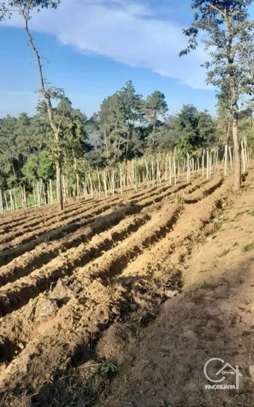 TERRENO en venta, Santa Marta, Sumpango — Terreno en Venta en Sumpango, Sacatepéquez — foto 2 de 2