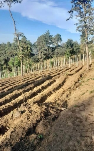 TERRENO en venta, Santa Marta, Sumpango — Terreno en Venta en Sumpango, Sacatepéquez — miniatura 2 de 2