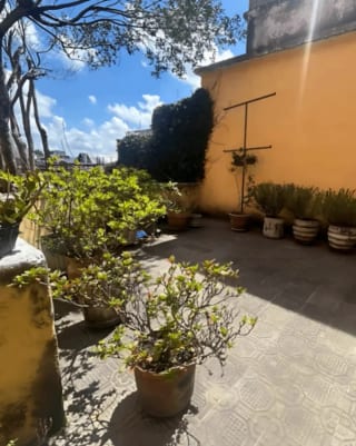 Zona 1 Amplia Casa Fuera de Garita en Venta — Casa en Venta en Zona 1, Guatemala, Ciudad — miniatura 4 de 16