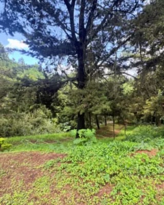 TERRENO EN VENTA ZONA16 EN EL PULTE ECUESTRE — Terreno en Venta en El Pulté Ecuestre, Zona 16, Guatemala, Ciudad — miniatura 8 de 11