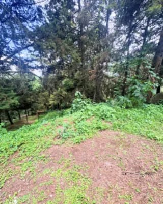 TERRENO EN VENTA ZONA16 EN EL PULTE ECUESTRE — Terreno en Venta en El Pulté Ecuestre, Zona 16, Guatemala, Ciudad — miniatura 7 de 11
