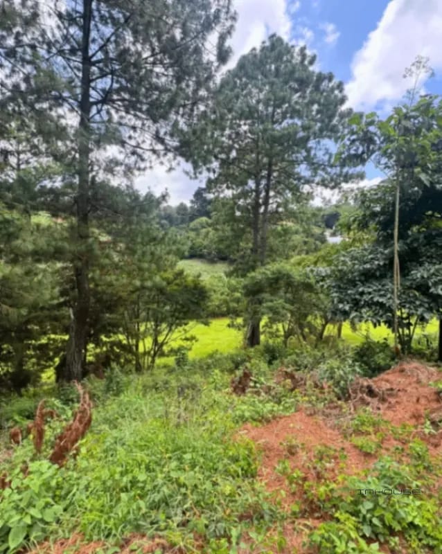 TERRENO EN VENTA ZONA16 EN EL PULTE ECUESTRE — Terreno en Venta en El Pulté Ecuestre, Zona 16, Guatemala, Ciudad — foto 3 de 11