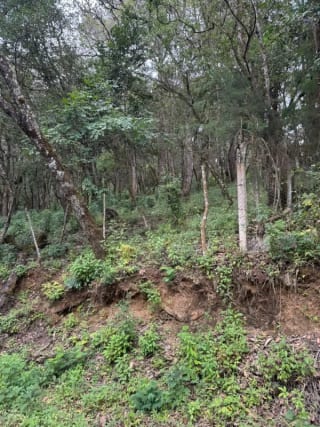Terreno en Venta -  Tronco 10 El Encinal, zona 7 Mixco — Terreno en Venta en El Encinal, Zona 7 Mixco, Guatemala, Ciudad — miniatura 6 de 6