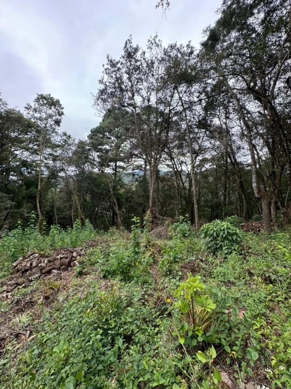 Terreno en Venta -  Tronco 10 El Encinal, zona 7 Mixco — Terreno en Venta en El Encinal, Zona 7 Mixco, Guatemala, Ciudad — foto 5 de 6
